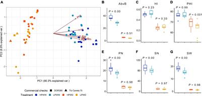 Effect of Drought and Low P on Yield and Nutritional Content in Common Bean